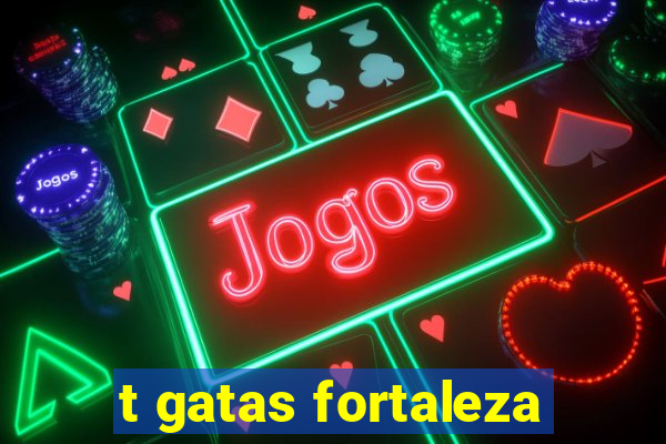 t gatas fortaleza